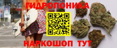 прущие грибы Канаш