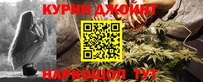 прущие грибы Канаш