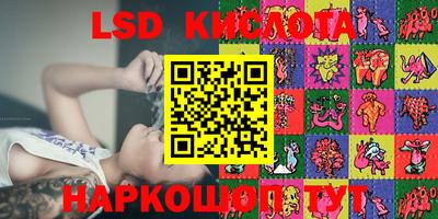 прущие грибы Канаш