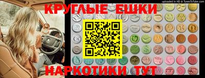 прущие грибы Канаш