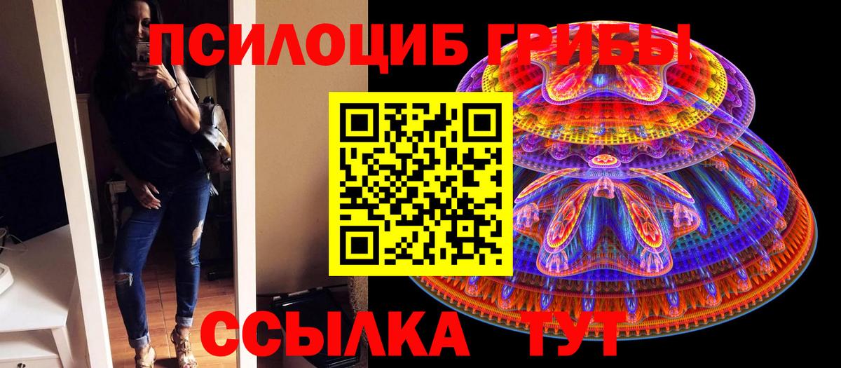 Галлюциногенные грибы MAGIC MUSHROOMS  Псилоцибиновые грибы прущие грибы  Кузнецк  где купить наркоту  Вход с VPN 